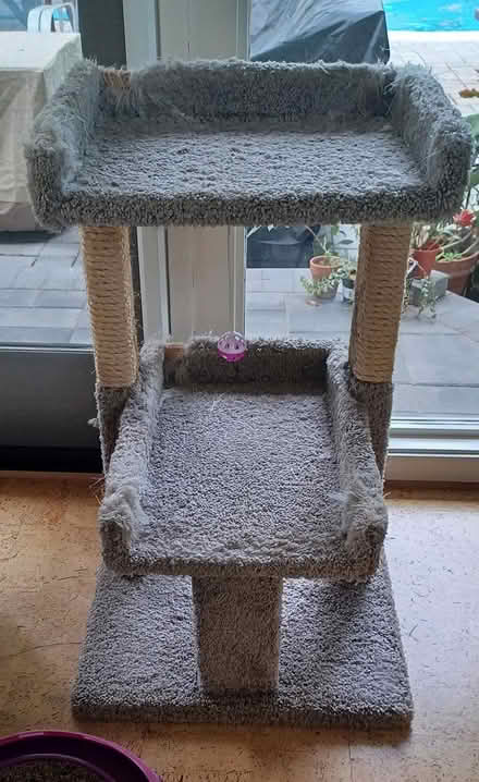 Photo of free Cat Perch (Mountain View) #1