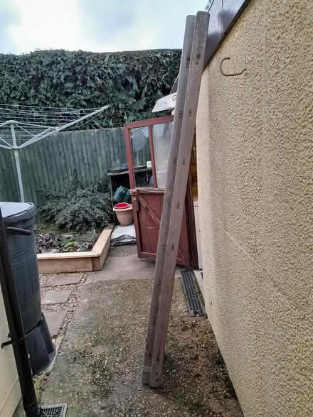 Photo of free Ladder (Golden Green) #3