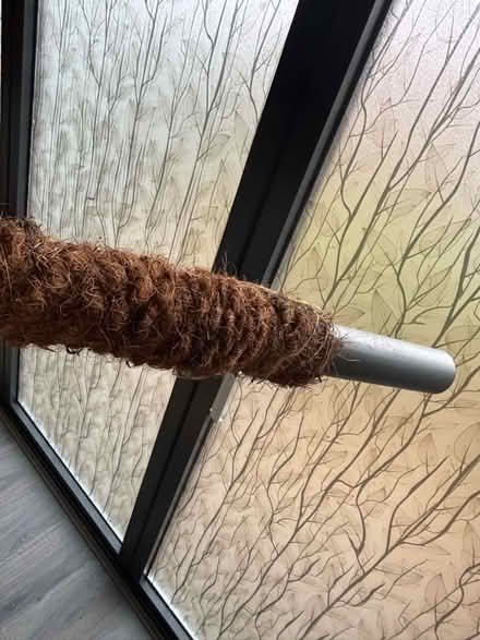 Photo of free Tall coir grow pole – great for climbing plants (Berwick Grange SY1) #2