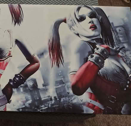 Photo of free Harley Quinn canvas (Blantyre G72) #2