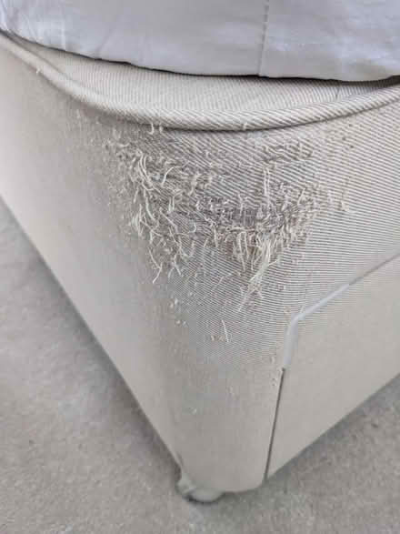 Photo of free Double bed and mattress (CR5, Old Coulsdon) #4