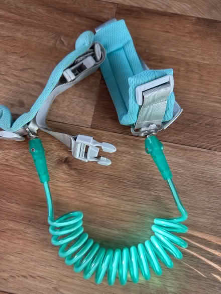Photo of free Toddler wrist harness (Billericay CM12 Queens Park) #1