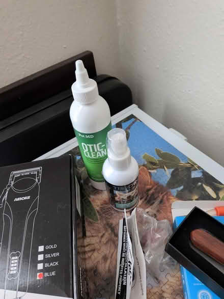 Photo of free Dog grooming (chicopee/ Aldenville) #4