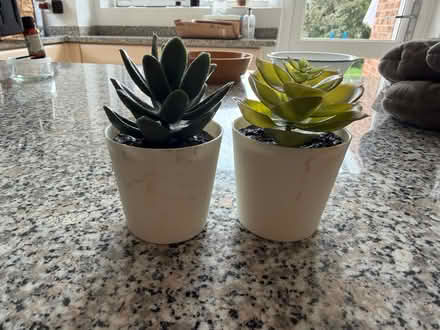 Photo of free 2 artificial plant pots (Hitchin SG4) #2