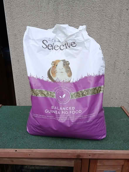 Photo of free Guinea Pig Food (Quernmore LA2) #1