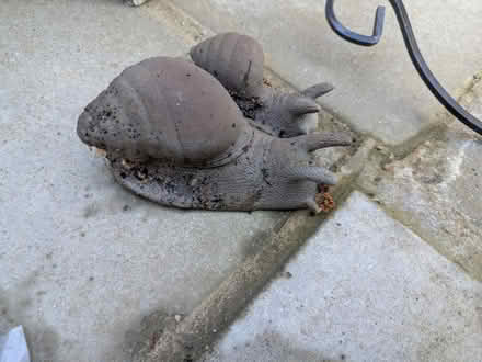 Photo of free Garden snail ornament (Addlestone KT15) #2
