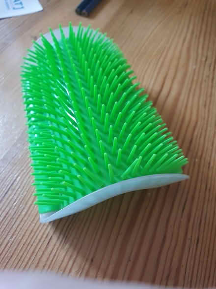 Photo of free Various Cat Bits (Eastergate PO20 3AA) #4