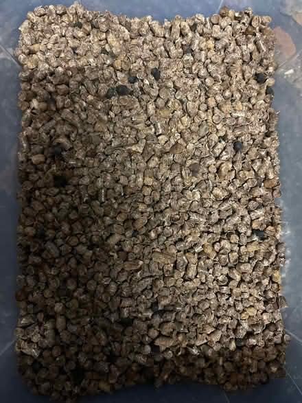 Photo of free Smoker apple cherry wood pellets (Sanderstead hill CR2) #1