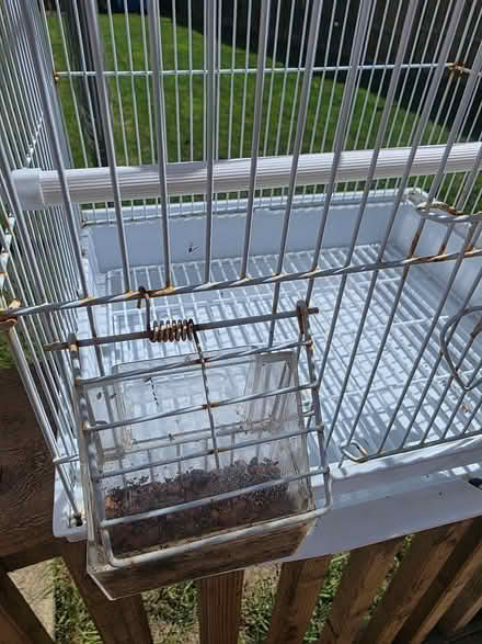 Photo of free Small bird cage (Rolvenden TN17) #2