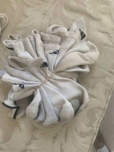 Photo of free Mixed/ unmatched socks (Saratoga) #1