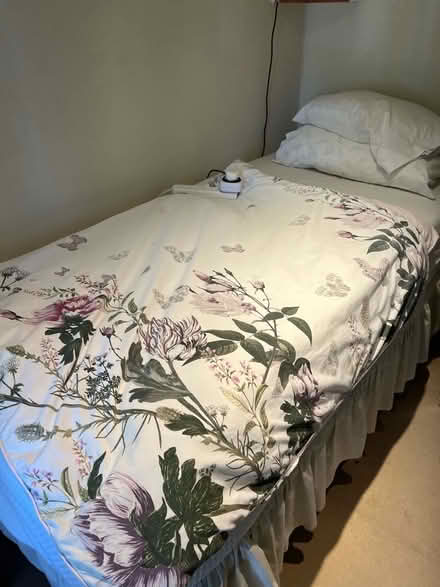 Photo of free Antique single bed and mattress (Northway OX3) #1