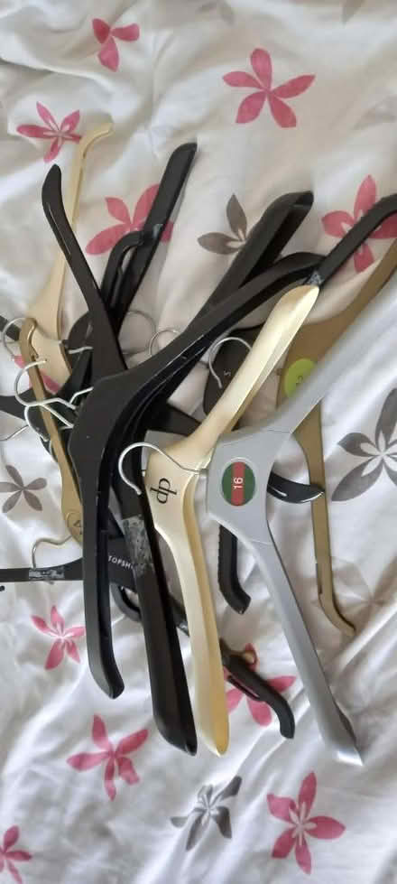 Photo of free Adults clothes hangers (Loscoe Grange DE75) #1