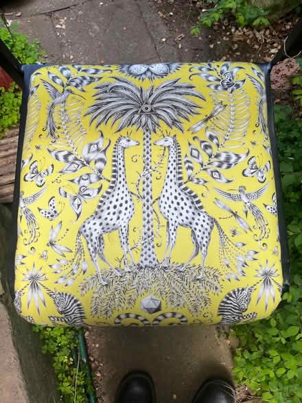 Photo of free Designer covered chair (Lancing BN15) #2