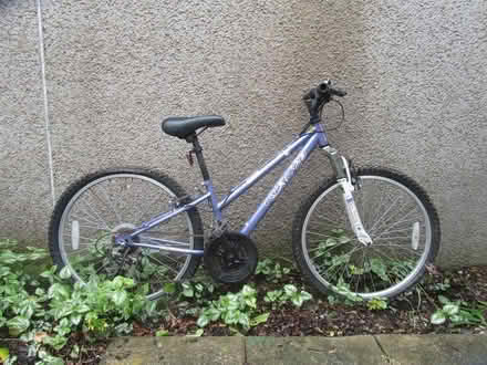 Photo of free Girls Bike (Greysouthen, Cockermouth) #1