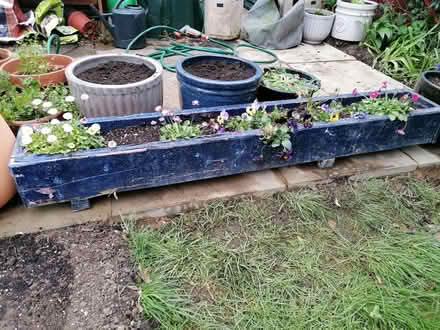 Photo of free Plant troughs (Littleport CB6) #1