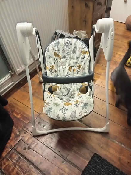 Photo of free Baby swing (Sheffield) #1