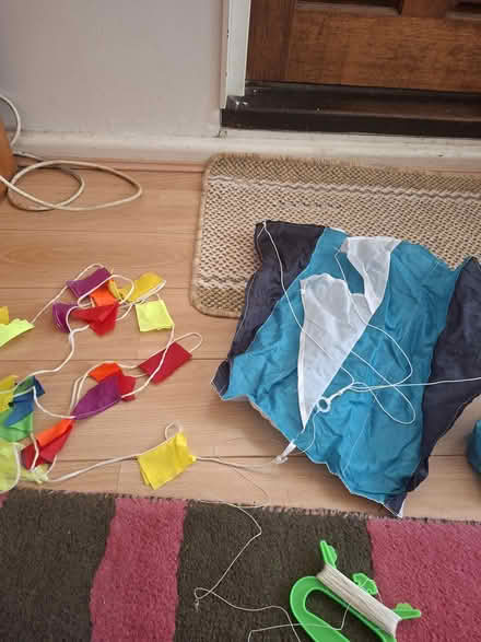 Photo of free Different kites (Melbourn Royston) #4