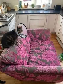 Photo of free Love seat (Marple SK6) #2