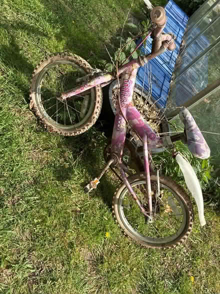 Photo of free Small child bike (Boxted CO4) #1