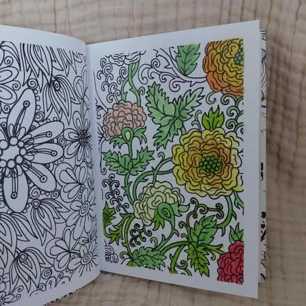 Photo of free Coloring Book (Union City - Decoto Road) #4