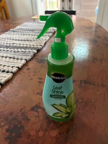 Photo of free Leaf Shine, Stone Grip (Andersonville) #1