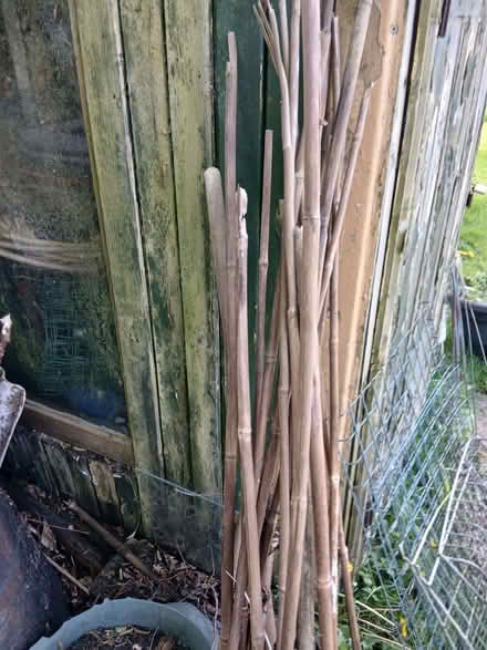 Photo of free Garden Canes (The Green SY7) #1