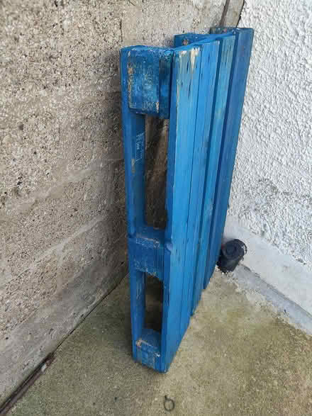 Photo of free Pallet for free. Dublin 14 (Dublin 14) #1