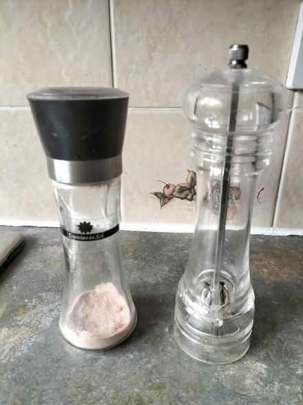 Photo of free Salt and pepper mills (Wollaton NG8) #1