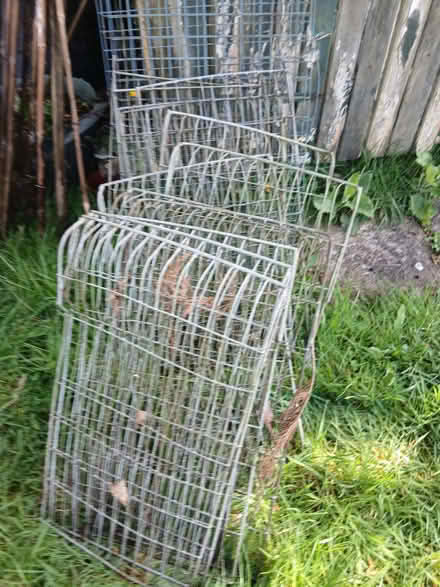 Photo of free Garden cages (The Green SY7) #1