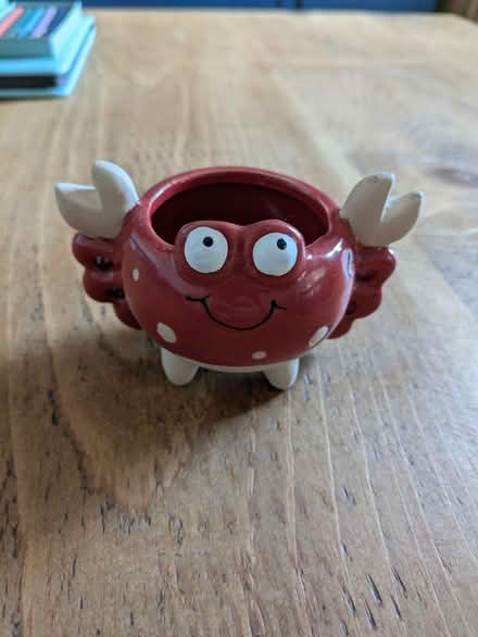 Photo of free Crab plant pot (small) (North Tonbridge, TN10) #1