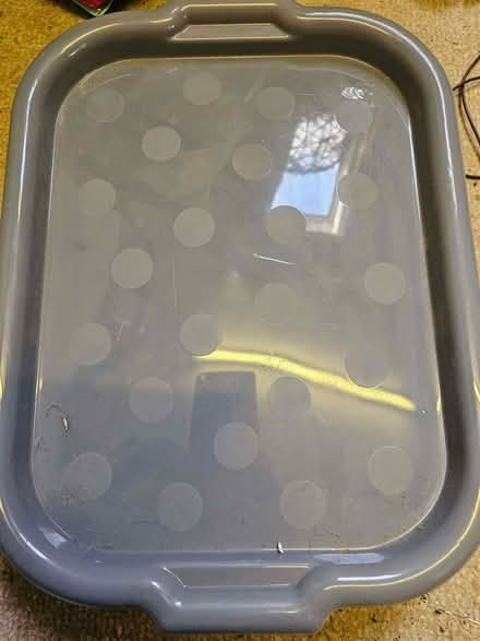 Photo of free Plastic Trays (Morecambe LA4) #1