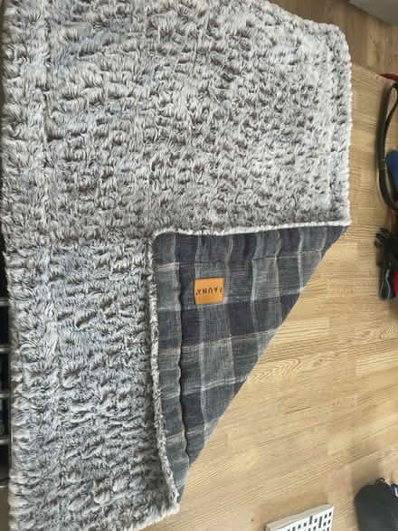 Photo of free Various dog accessories (Monkseaton NE25) #3