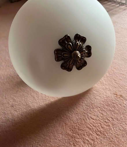 Photo of free Two ceiling lights (Cardiff) #1