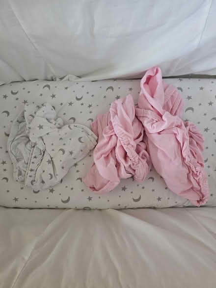 Photo of free Moses Basket (Sutton Farm) #4