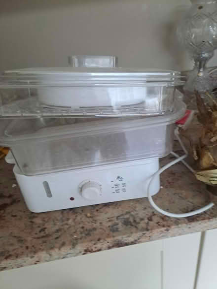 Photo of free Food steamer (Mill Hill London NW7) #1
