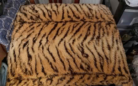 Photo of free Large cushion (Southsea PO5) #1