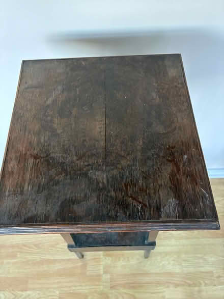 Photo of free Aspidistra stand (Hd34uw) #2