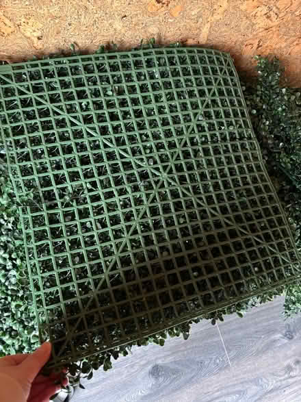 Photo of free Artificial green wall panels (bundle) (Berwick Grange SY1) #4
