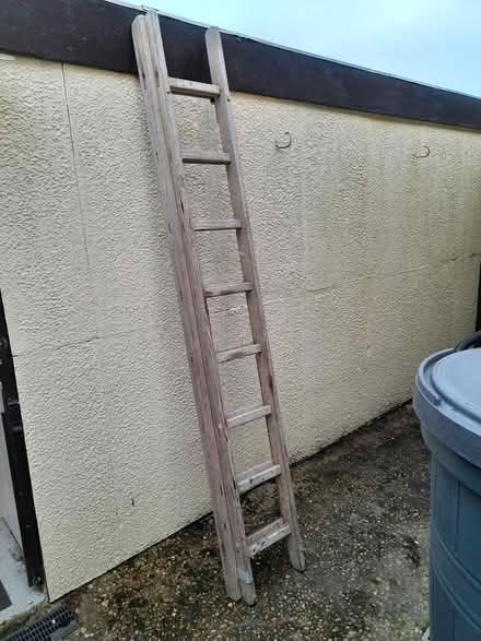 Photo of free Ladder (Golden Green) #4
