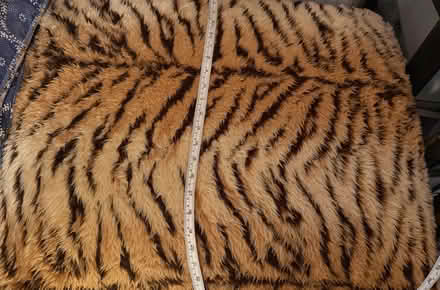 Photo of free Large cushion (Southsea PO5) #3