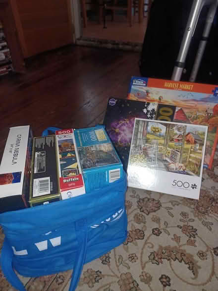 Photo of free Puzzles (South ozone pk, queens) #1