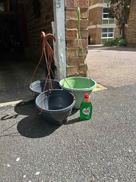 Photo of free Hanging baskets (Withdean BN1) #1