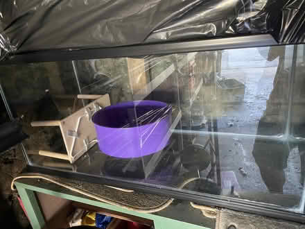 Photo of free 39 Gallon Fish Tank / Pet Tank (225 Tate Ave Buchanan, NY) #1