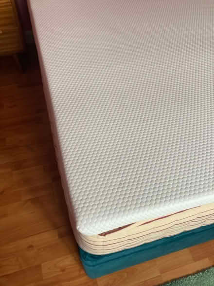 Photo of free Panda mattress topper, double (Sydenham se26) #2