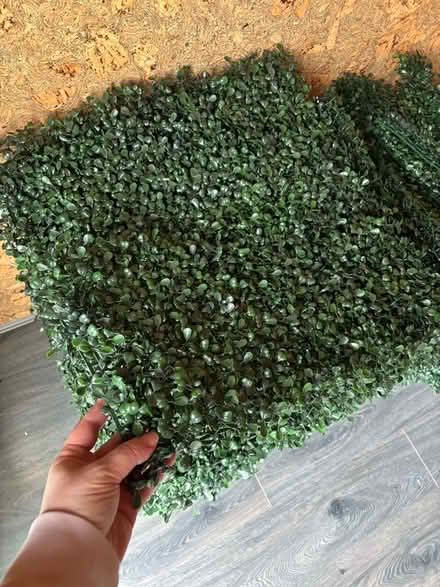Photo of free Artificial green wall panels (bundle) (Berwick Grange SY1) #3