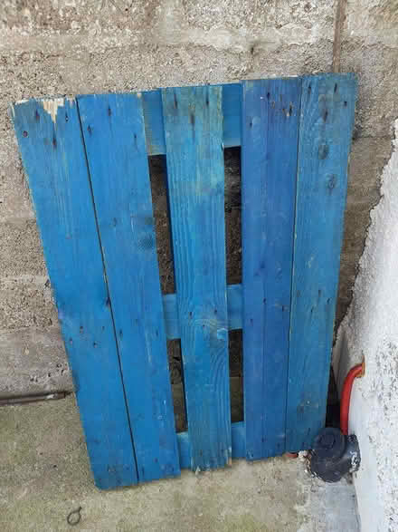 Photo of free Pallet for free. Dublin 14 (Dublin 14) #2