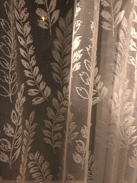 Photo of free Net curtains #2 (Cambridge CB1) #1
