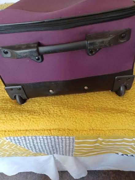 Photo of free Medium purple Tripp suitcase (Hollingbury BN1) #3