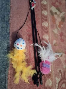 Photo of free interactive cat toys 20874 #1