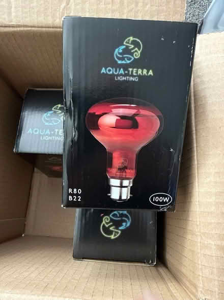 Photo of free Heat Bulbs - Bayonet fitting 100w (Old Town Eastbourne BN20) #1